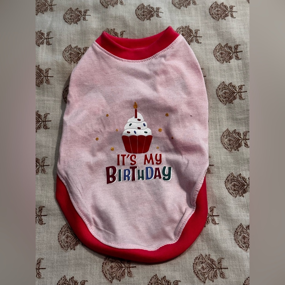 Doggy Birthday Outfit 🎂 🐶